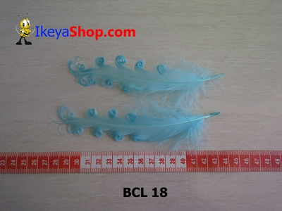 BCL 18  large2